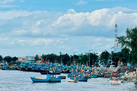 Ứng phó bão Noru khả năng ảnh hưởng trực tiếp đến Bình Thuận