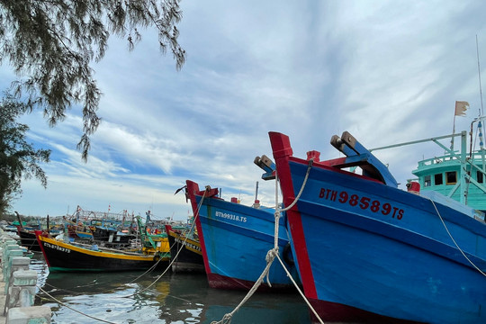 Ứng phó bão Noru:﻿﻿ Bình Thuận lên kế hoạch sơ tán dân các xã ven biển