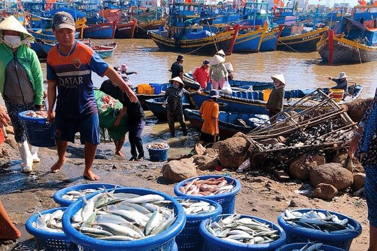 Seafood exploitation hits over 171,000 tons in the first 9 months