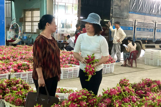 Hội nghị tổng kết phong trào nông dân sản xuất - kinh doanh giỏi tỉnh Bình Thuận lần thứ X, giai đoạn 2017 - 2022: Những gương sáng nông dân sản xuất – kinh doanh giỏi