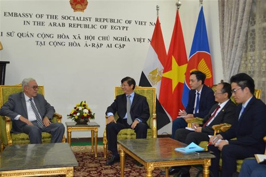 Vietnam, Egypt forge multi-faceted cooperation