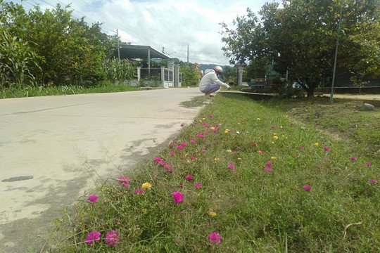 Trồng hoa xây dựng làng quê xanh - sạch - đẹp