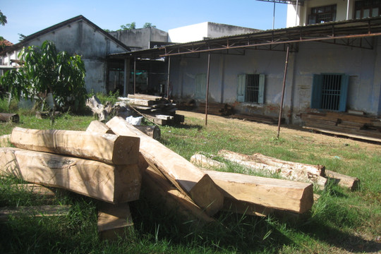 Hàm Thuận Bắc: Tăng cường kiểm tra truy quét các đối tượng phá rừng