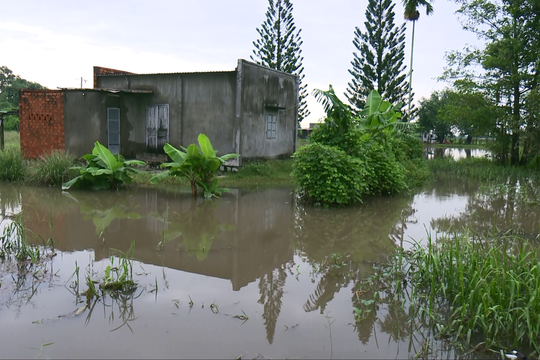 Hàm Thuận Bắc thiệt hại 4 tỷ đồng do mưa lũ