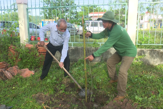 Ham Thuan plants green trees in response to the "Project on planting 1 billion trees in the period of 2021 - 2025"