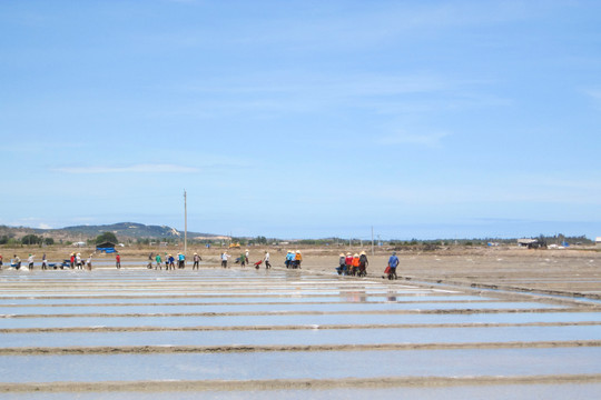 Diêm dân kỳ vọng mùa sản xuất muối mới