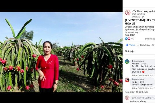 Nông dân Bình Thuận livestream bán hàng