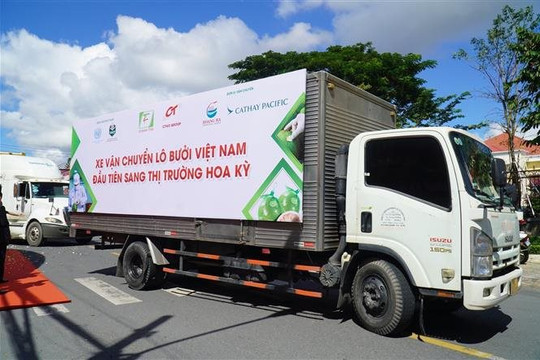 Việt Nam xuất khẩu lô bưởi đầu tiên sang Hoa Kỳ