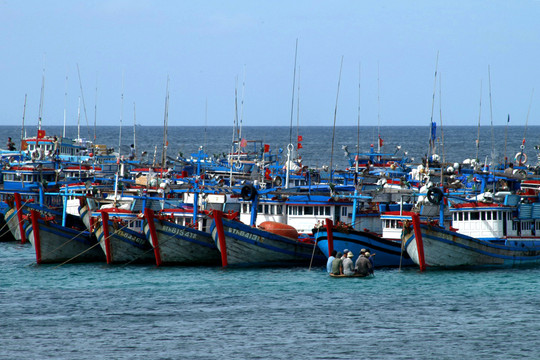 Chống khai thác IUU: Kinh nghiệm từ 5 tỉnh có tàu cá Bình Thuận lưu trú