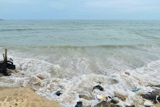 Bình Thuận triển khai ứng phó với gió mạnh, sóng lớn trên biển