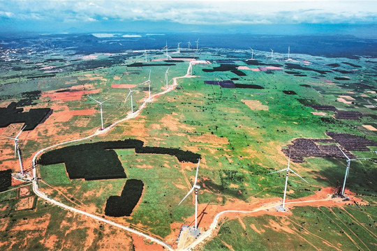 Nhà máy Thái Hòa – hành trình của gió
