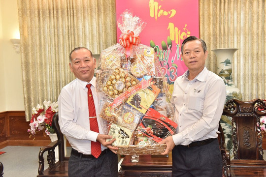 Tổng Công ty Điện lực Miền Nam thăm, chúc tết lãnh đạo UBND tỉnh Bình Thuận