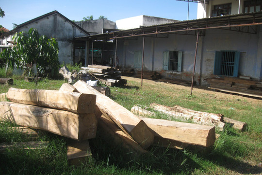 Hàm Thuận Bắc triển khai các biện pháp phòng, chống phá rừng