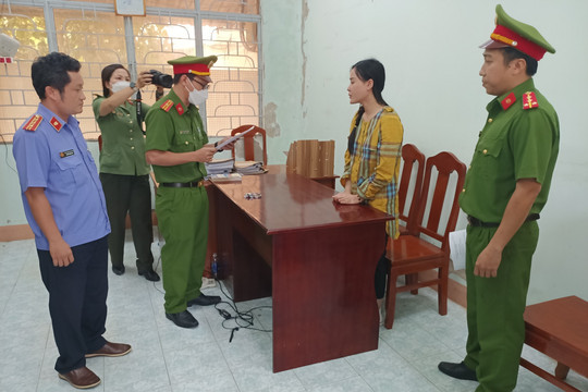 Tina Dương - Ninh Thị Vân Anh bị đề nghị truy tố 2 tội danh