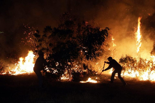 Chile mở rộng tình trạng khẩn cấp do cháy rừng