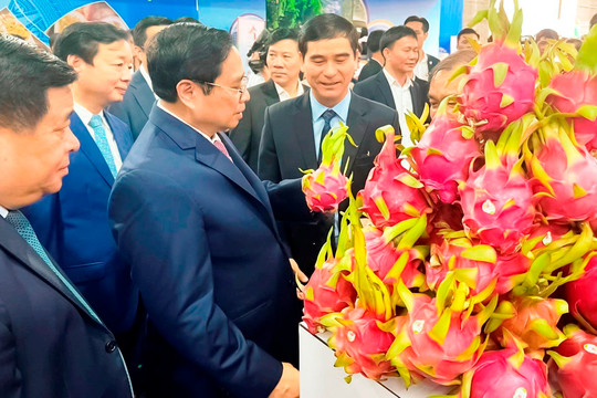Giới thiệu các sản phẩm OCOP Bình Thuận tại tỉnh Bình Định