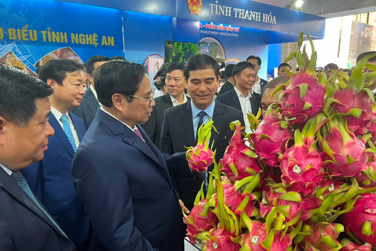 Bình Thuận tham dự Hội nghị triển khai Chương trình hành động của Chính phủ thực hiện Nghị quyết số 26