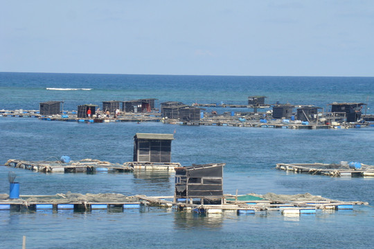 Phú Quý: Giữ vững môi trường biển, khai thác tour lồng bè