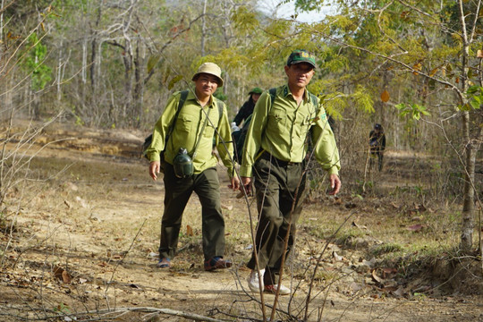 Hàm Thuận Nam: Kiểm tra, lập chốt tại khu vực thường xảy ra phá rừng