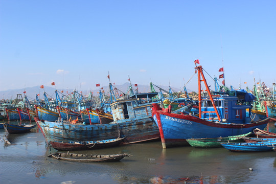 Tuy Phong: Có 57 tàu cá lưu trú ngoài tỉnh hoạt động khai thác hải sản