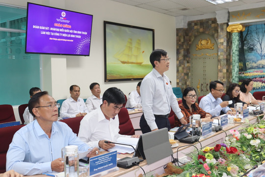 Giám sát việc thực hiện chính sách, pháp luật về phát triển năng lượng tại Điện lực Bình Thuận