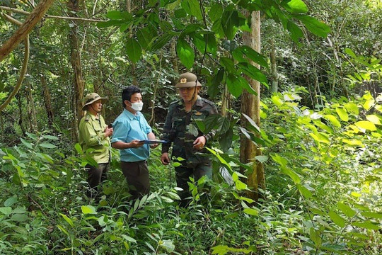 Nỗ lực bảo vệ rừng đặc dụng