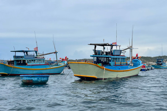 Phú Quý: Thêm 1 tàu chở hàng bị chìm, 2 thuyền viên mất tích