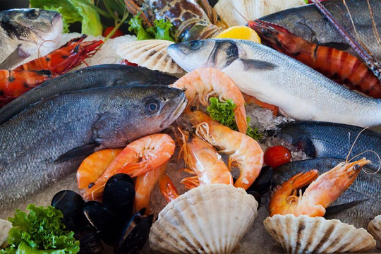 Chủ động phòng ngộ độc tố tự nhiên từ hải sản