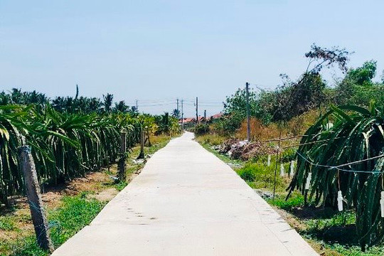 Đề án giao thông nông thôn ở La Gi: Động lực thúc đẩy phát triển kinh tế - xã hội