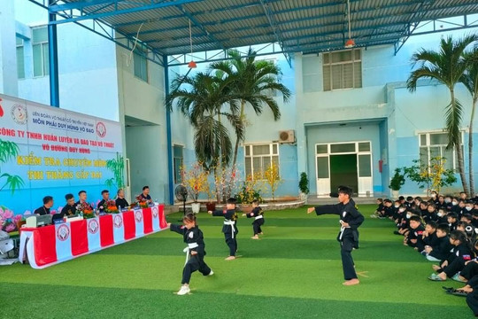 235 võ sinh thi thăng cấp đai Võ cổ truyền Việt Nam