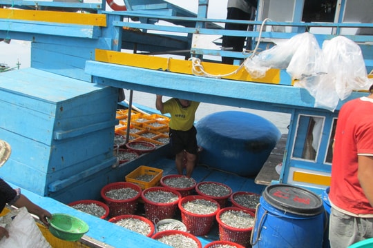 Hình thành 90 chuỗi cung ứng thực phẩm an toàn