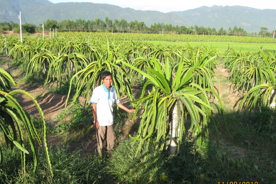 Hàm Thuận Nam thực hiện chương trình giảm nghèo bền vững