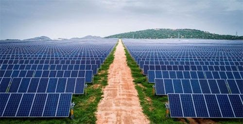 Nhà đầu tư điện mặt trời, điện gió kiến nghị Chính phủ gỡ vướng đàm phán giá điện