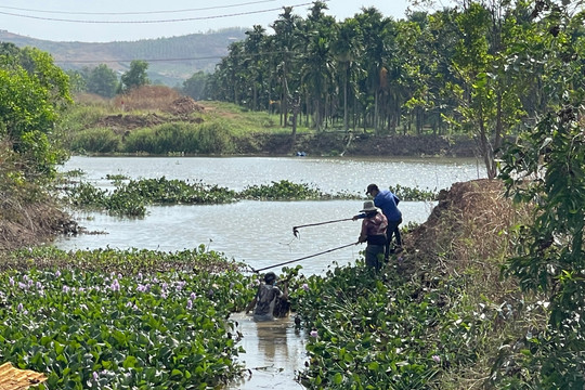 Hàm Thuận Bắc: Phát dọn các tuyến kênh tiêu, thoát lũ vào mùa mưa