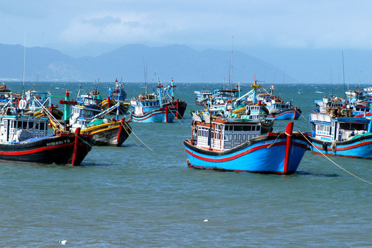 Xử lý nghiêm tàu cá “3 không” khai thác hải sản bất hợp pháp