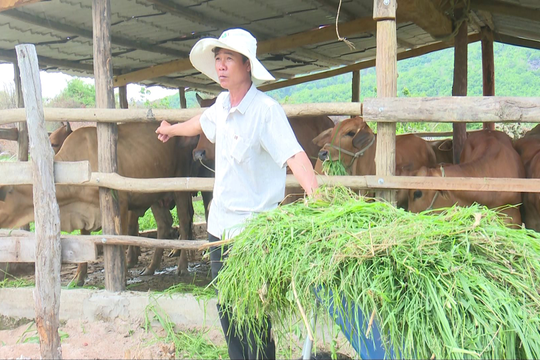 Hội Nông dân huyện Hàm Thuận Bắc: Phát huy hiệu quả Quỹ hỗ trợ nông dân