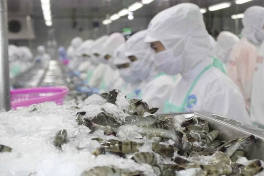 Local output of exploited seafood faces favorable prospects