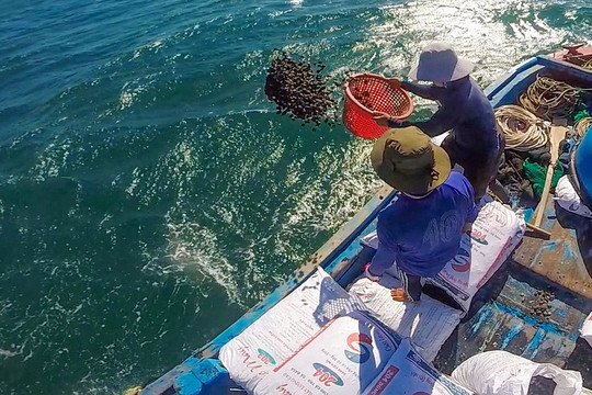 Hàm Thuận Nam: Kinh nghiệm từ mô hình đồng quản lý trong bảo vệ nguồn lợi thủy sản