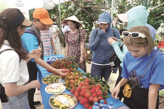 Bình Thuận khảo sát tour du lịch nông nghiệp Đồng Nai