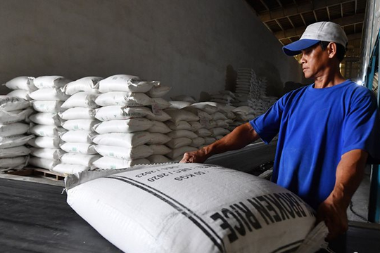 Gạo Việt Nam xuất sang một quốc gia Trung Đông tăng đột biến 12.843%