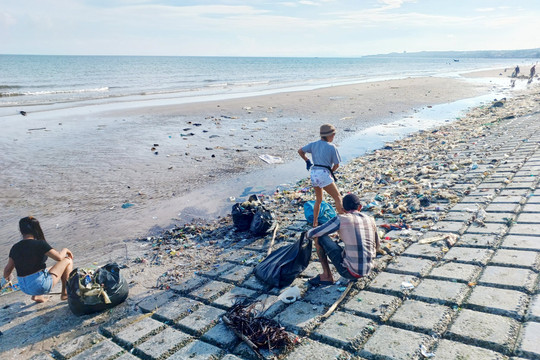 Hàm Tiến: Thu gom, xử lý nhiều xe rác đại dương