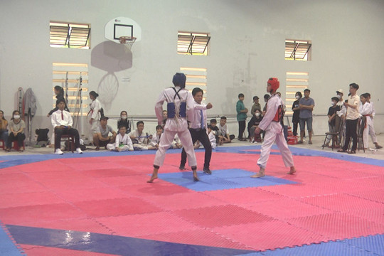 Đức Linh: Giao lưu thi đấu các CLB võ thuật Taekwondo