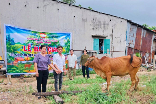 Trao bò sinh sản cho hộ nghèo tại Hàm Tân