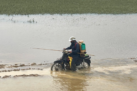 Tiếp tục nguy cơ lũ quét, sạt lở đất do mưa lũ tại Bình Thuận