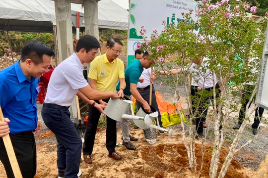 1,000 golden oak trees planted along the irrigation canals of Phan Thiet and Ham Thuan Bac