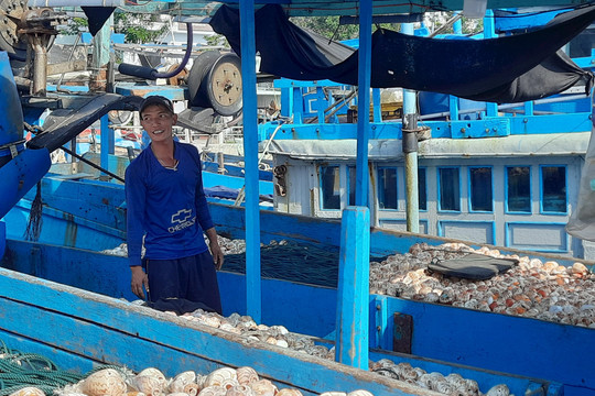 Tình trạng trộm vỏ ốc bẫy bạch tuộc trên biển: Khẩn trương nắm bắt, điều tra để xử lý