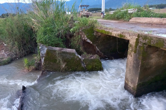 Tánh Linh: Mưa lớn gây hư hỏng móng cầu suối Thanh Niên, ước thiệt hại 1,5 tỷ đồng.