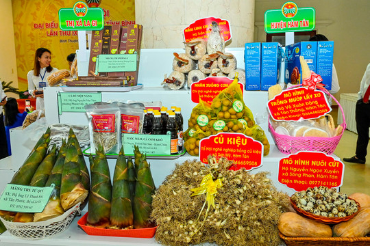 Trưng bày các sản phẩm tiêu biểu tại Đại hội Hội Nông dân tỉnh Bình Thuận
