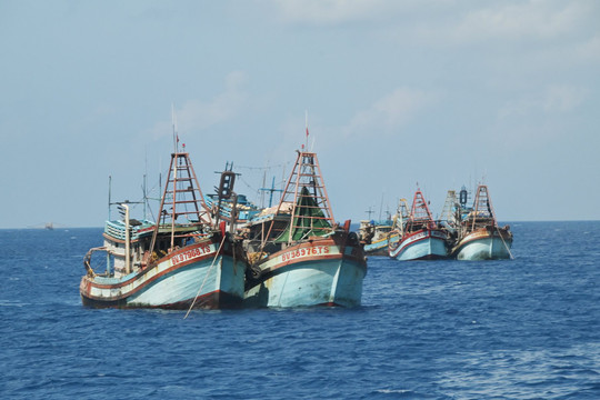 Tiếp tục đẩy mạnh các giải pháp chống khai thác hải sản bất hợp pháp