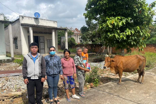 Tân Hà: Trao tặng bò sinh sản cho người nghèo